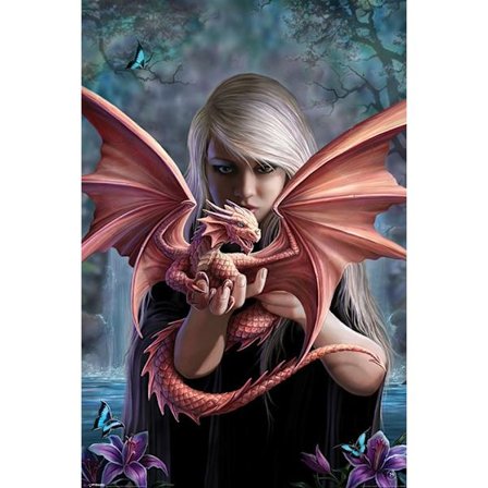 Anne Stokes - Dragon Baby