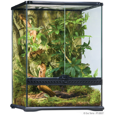 Exoterra - Glassterrarium Naturlig Liten/Høy - 45 x 45 x 60 cm - Reptil - Terrarium - Terrarium- og terrariebakgrunn - ZOO.no