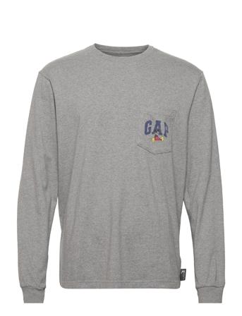 Adult Gap X Disney 100% Organic Cotton Graphic T-Shirt Grey GAP