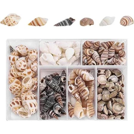 [CA] 100 kpl luonnollisia simpukkasekoituksia askarteluun ja koristeluun - useita muotoja, spiraalinmuotoisia simpukoita nautiskeluun