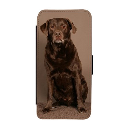 Brun Labrador Samsung Galaxy S22 Flip Mobilfodral