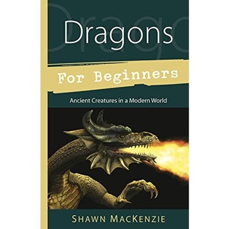 Dragons for Beginners 9780738730455