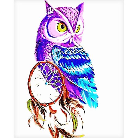 Lærredsplakat, Ugle - 60 x 75 cm