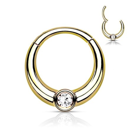 8 mm Segment Ring i IP 316L kirurgiskt stål med vit CZ