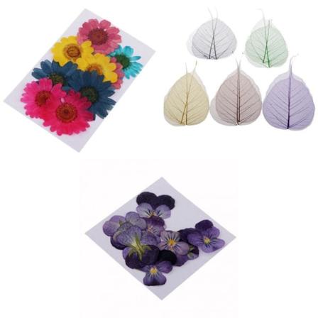 30st naturliga äkta torkade pressade blommor för konstdekoration DIY Scrapbooking