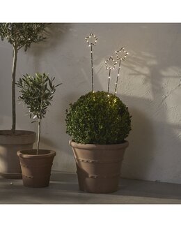 Star Trading Utendørsdekorasjon LED Wizard Svart