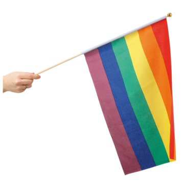 Rainbow Hand Flag 30x40 cm