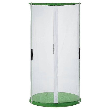 Sommerfugle Habitat Bur Synlig Insekt Bur Insekt Observationsbur Sommerfugle Avlsbur