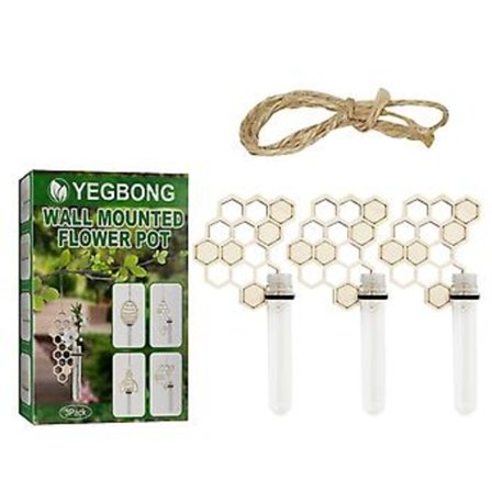 Seinälle kiinnitettävä lasinen kukkavasi hydroponiikka-istutusastia Koti sisustus
