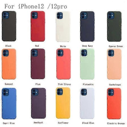 2025 Silikonfodral med Magsafe för Iphone 12 12 Pro