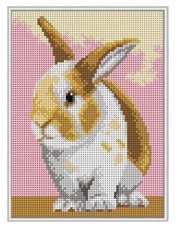 Broderipakke Bilde Kanin - Orchidea