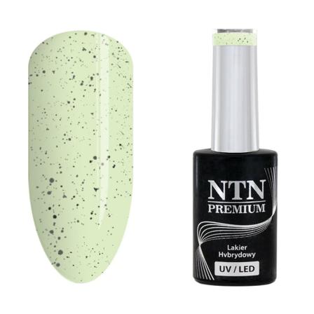 Ntn Premium - Gellack - Sugar Puff - Nr184 - 5g Uv-gel/led