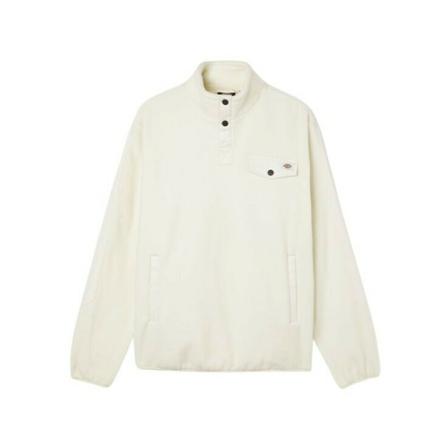 Dickies, Turtlenecks Beige, Heren, Maat:S