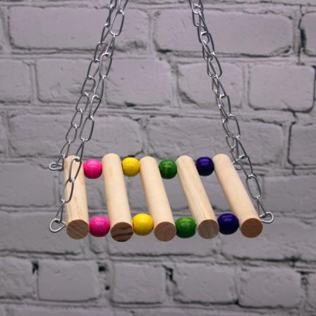 Turvalliset myrkyttömät lintulelut 5 kpl Papukaijatarvikkeita ripustussillan keinuteline baariteline Pioni Bite Primary color