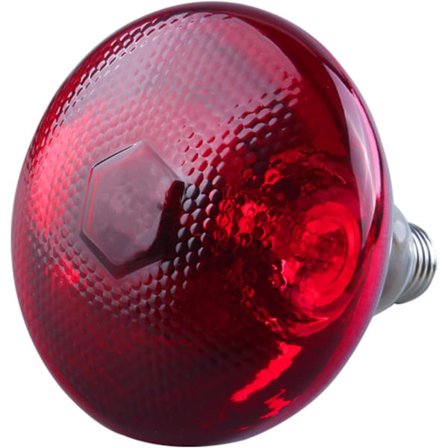 250w kyllingevarmelampe, kyllingevarmepære, hvalpekyllingehus H