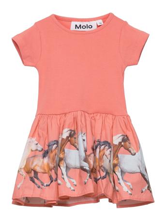 Carin Dresses & Skirts Dresses Baby Dresses Short-sleeved Casual Dresses Monivärinen/Kuvioitu Molo