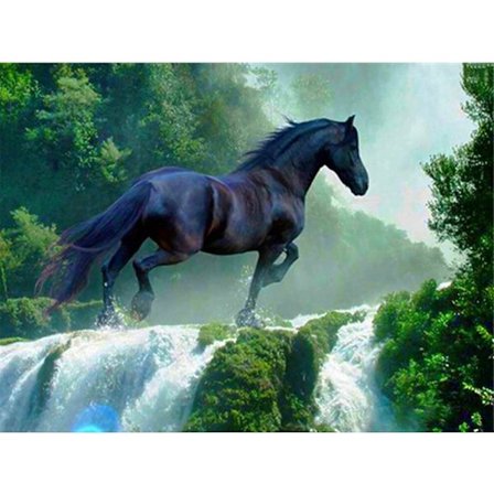 5D timanttimaalaussetti 30x40cm DIY värikäs hevostimanttitaide