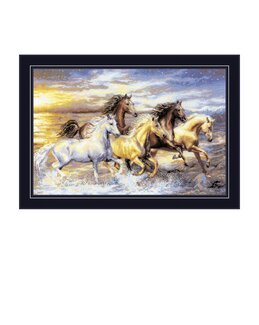 Bild Pferde im Sonnenuntergang