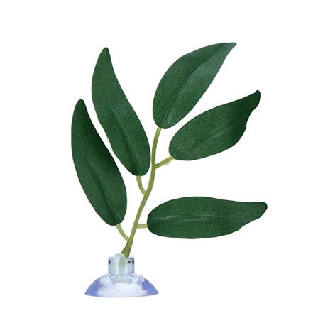 Betta Leaf Fish Tank Plants J J