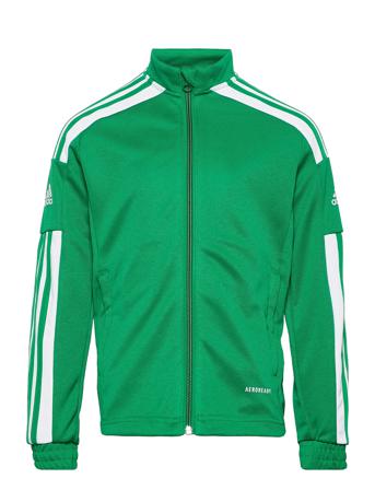 Sq21 Tr Jkt Y Sweat-shirt Tröja Grön Adidas Performance
