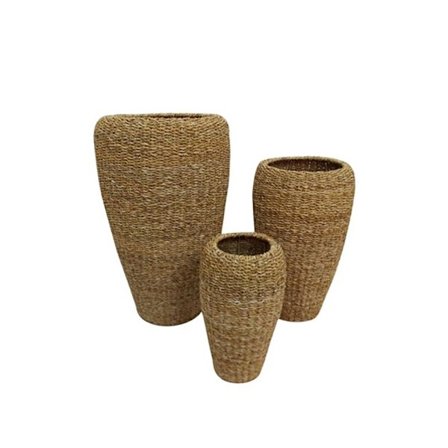 Højt søgræs plantesæt, 3 dele, 43x43x70 cm