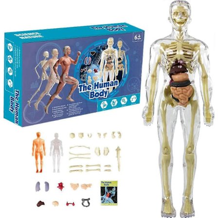 För iPhone 15 Skal Kompatibelt med MagSafe Anti-Repor Silikonskal Stil B