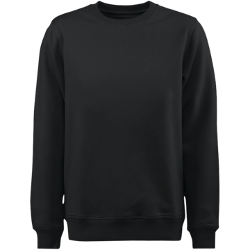 Sweatshirt Softball RSX