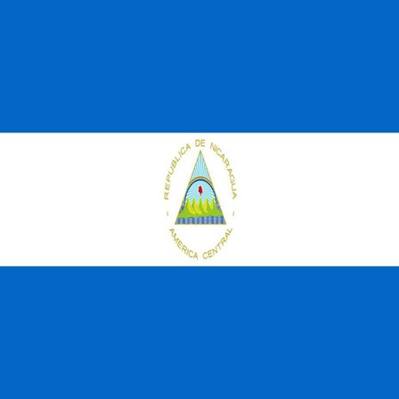 Nicaragua-flagga 100