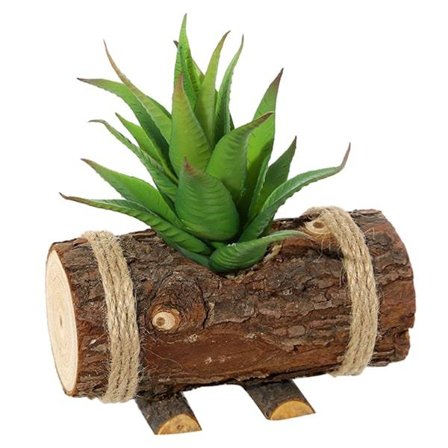 IC Trä bassäng simulering saftig bonsai kreativ dekoration