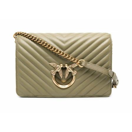 Pinko, Cross Body Bags Groen, Dames, Maat:ONE Size