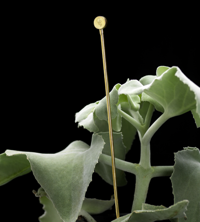 Garden Glory Blomsterpinne GG-knapp