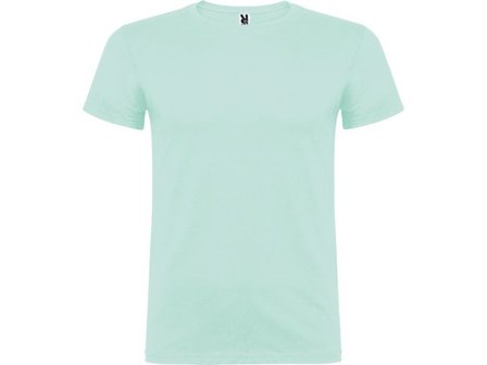 ROLY T-shirt beagle herr mint S - Lyreco - Arbetskläder - Arbetströjor - T-shirts