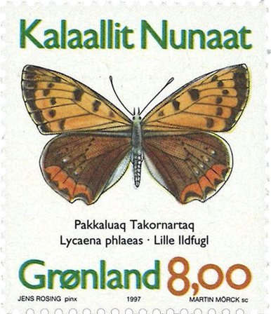 Grønland 1997 - AFA 307a - Postfrisk