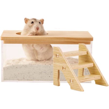 Sandbadslåda för hamster, transparent rektangulär grävbehållare med stege – Stor sandlåda för dammbad och lek för hamsterskåp