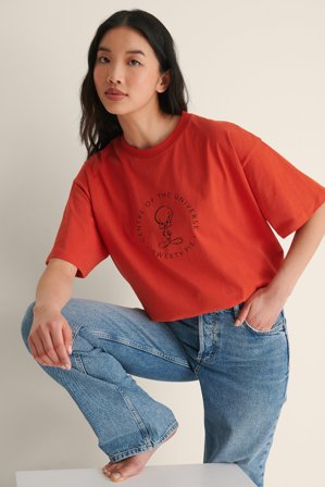 Warner Bros. - Looney Tunes oversized t-skjorte - T-Shirts - Rød - XX-Small