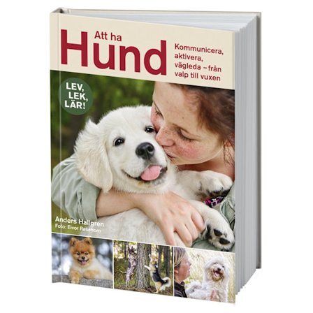 Att ha hund 9789155269166