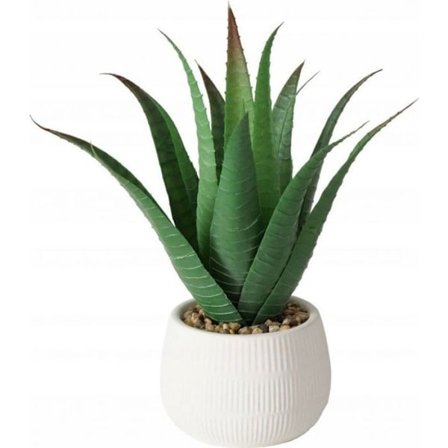 Konstgjord blomma - torkad blomma Boltze Konstgjord aloe vera i kruka MONDRAGO, 29 cm