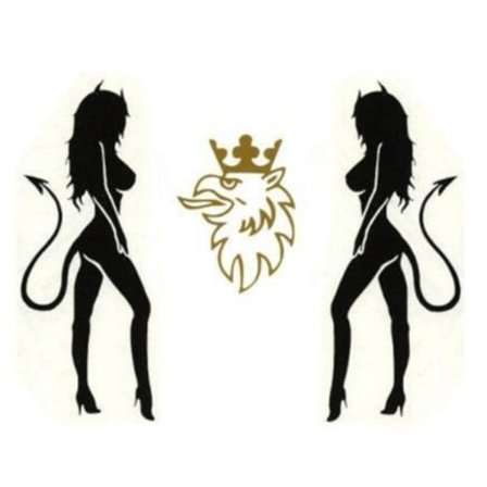 ( Dekal ) SAAB Scania