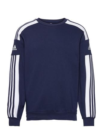 Sq21 Sw Top Sweat-shirt Genser Blå Adidas Performance