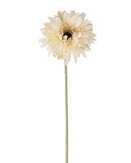 Tekokasvi leikkokukka Gerbera 55 cm 1 kpl Creme