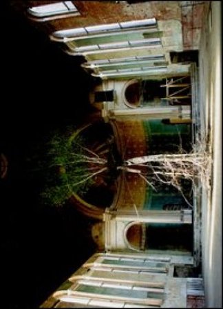 Global Tree Project. Ediz. inglese Shinji Turner-Yamamoto