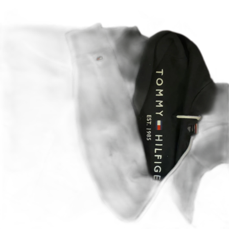 Svart hoodie från Tommy Hilfiger