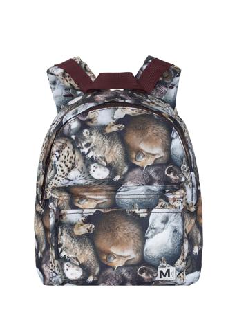 Backpack Accessories Bags Backpacks Multi/mønstret Molo