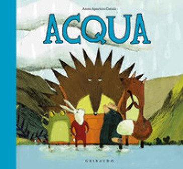 Acqua. Ediz. a colori Anna Aparicio Català
