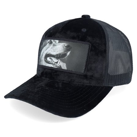 Calza Pennello - Negro trucker Gorra - Happy Dog Big Patch Velvet Black Trucker @ Hatstore