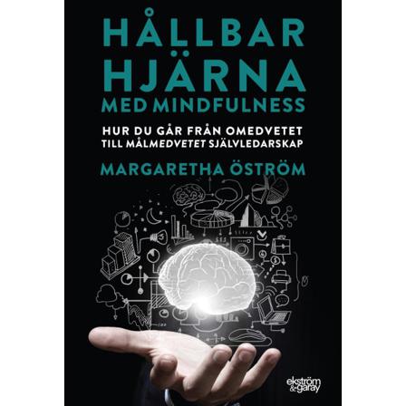 Hållbar hjärna med mindfulness 9789189308244