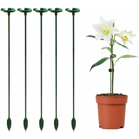 Klatreplante Støttepæl Orkideer - 30cm, med Støtte Ring, ZQKLA