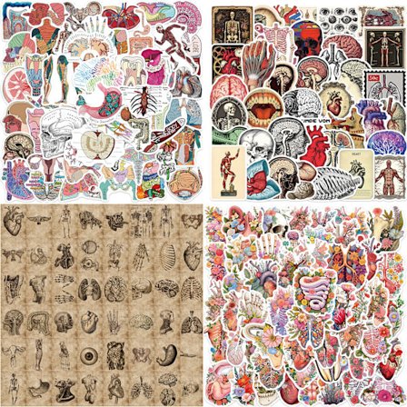 206 stk. Anatomidekor-klistremerker - Vintage botanisk kroppskunst for journaler, bærbare datamaskiner og skateboards (4 stiler)