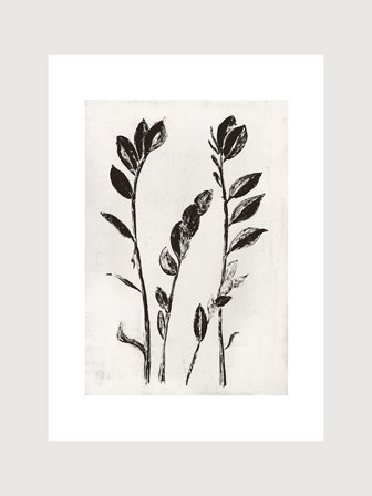 Poster med botanisk motiv i svart på grå bakgrund | Kunstary.com, 70x100 cm