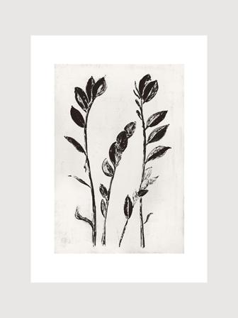 Poster med botanisk motiv i svart på grå bakgrund | Kunstary.com, 50x70 cm